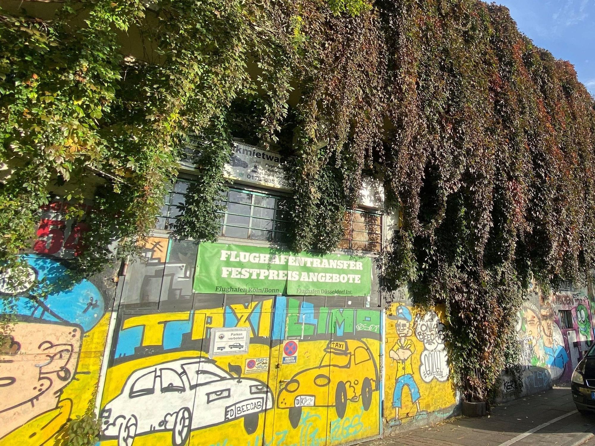 Bepflanzung an der Eisenbahnbrücke an der Heliosstraße in Ehrenfeld