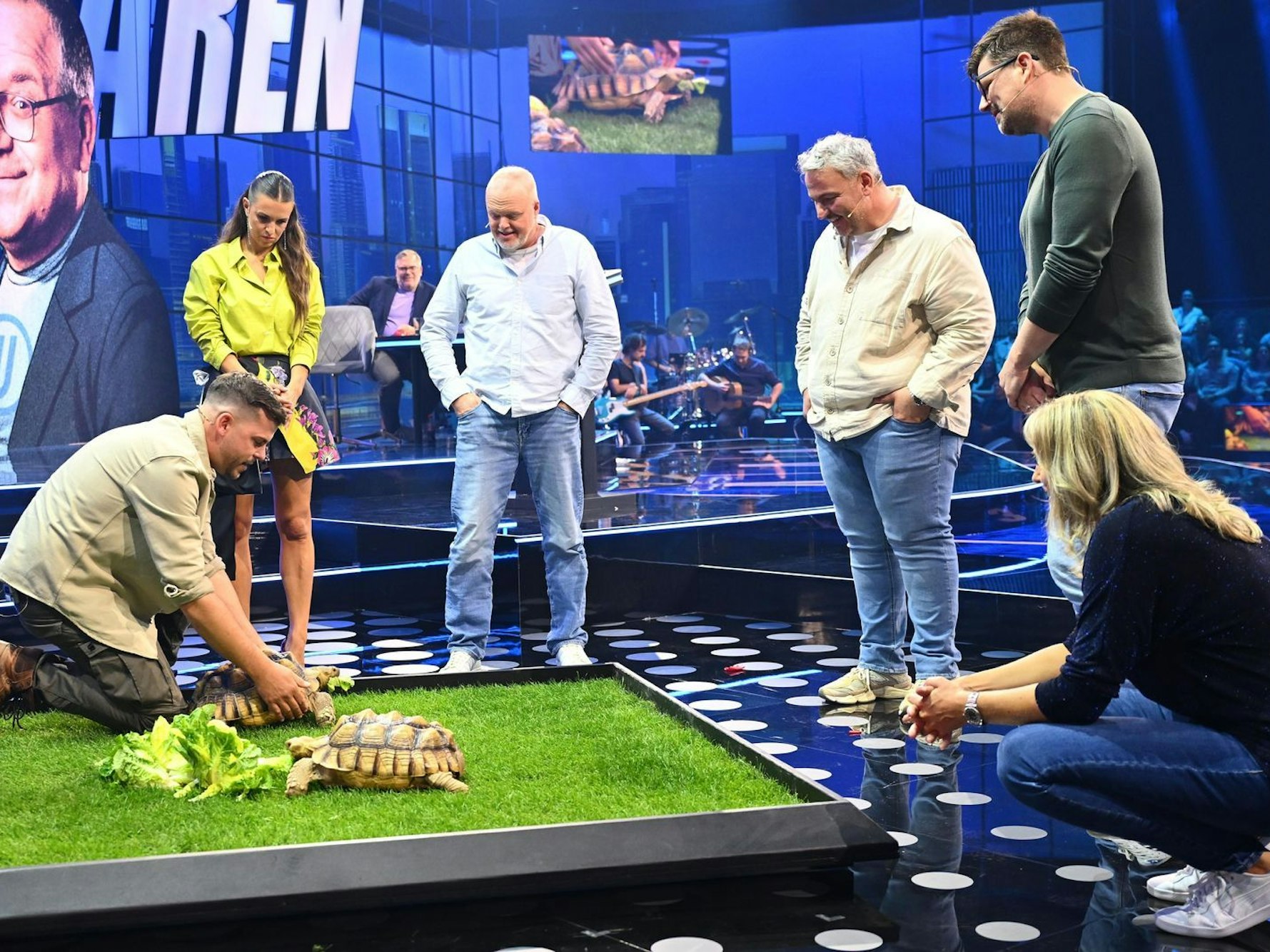 Tierische Stargäste: Die Spornschildkröten Bonnie und Clyde waren Mittelpunkt einer Quizfrage. (Bild: RTL/Raab Entertainment/Willi Weber)