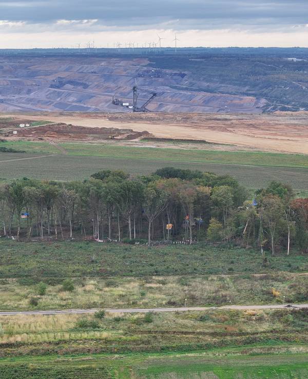 Blick auf das besetzte Waldstück mit Baumhäusern, im Hintergrund der Tagebau Hambach (Archivfoto)