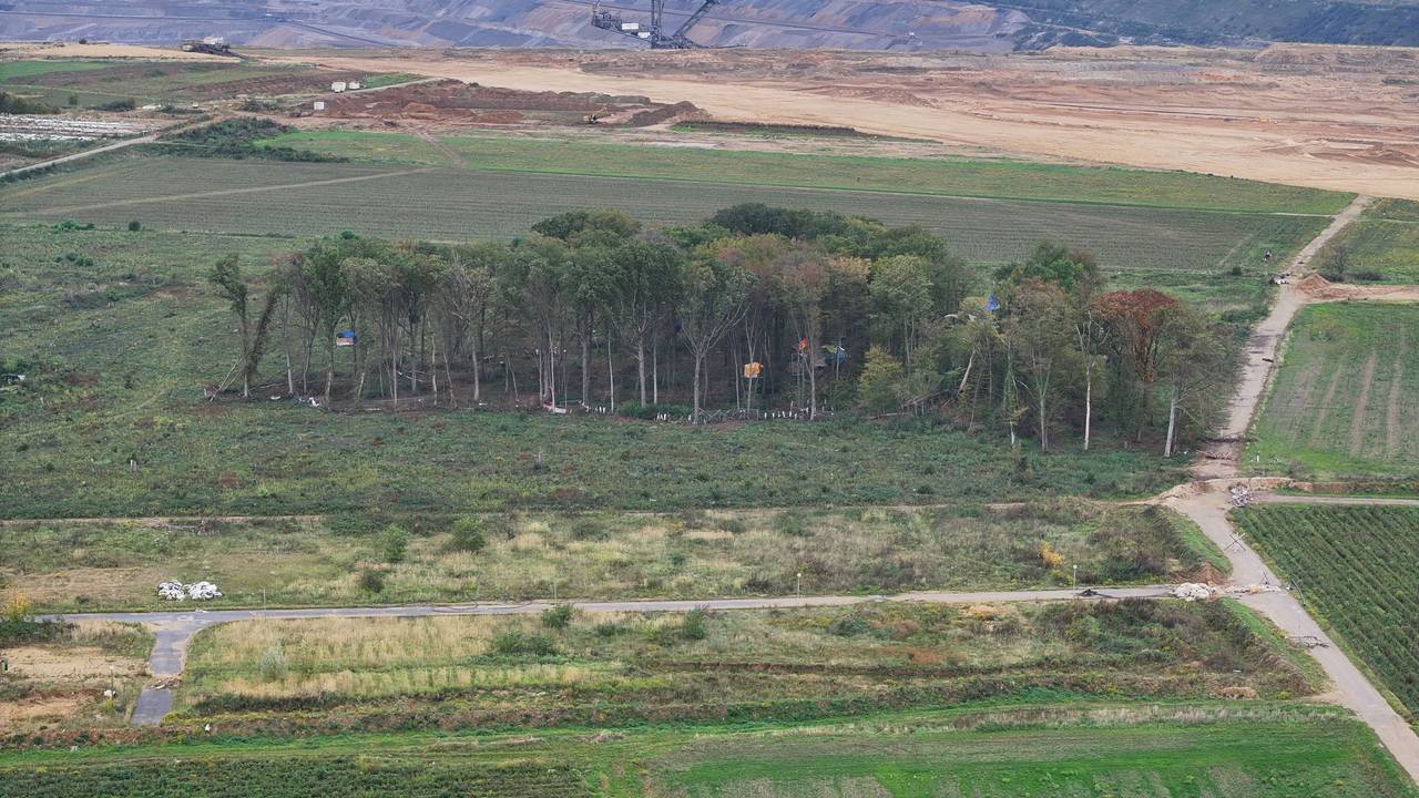 Blick auf das besetzte Waldstück mit Baumhäusern, im Hintergrund der Tagebau Hambach (Archivfoto)