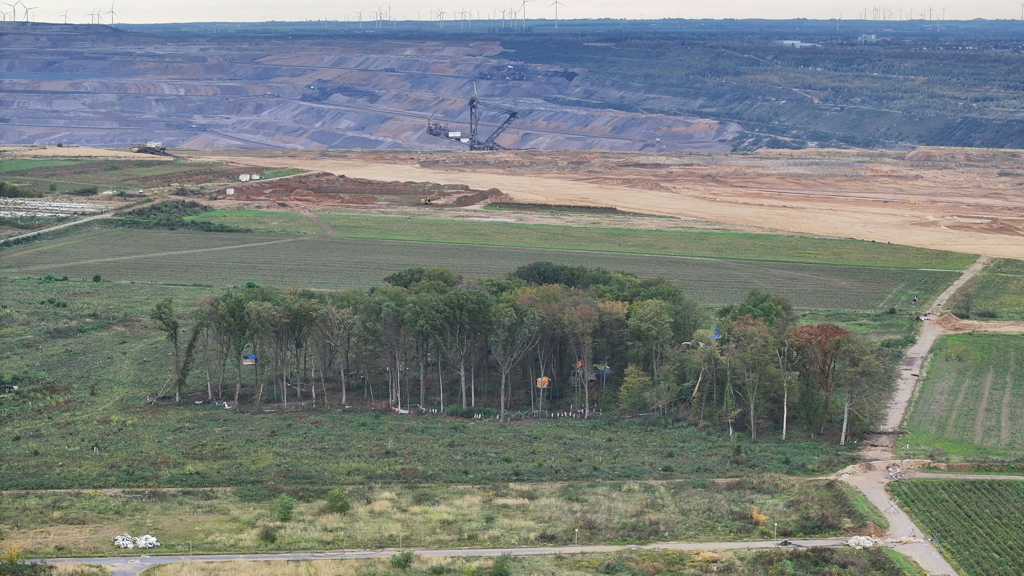 Blick auf das besetzte Waldstück mit Baumhäusern, im Hintergrund der Tagebau Hambach (Archivfoto)