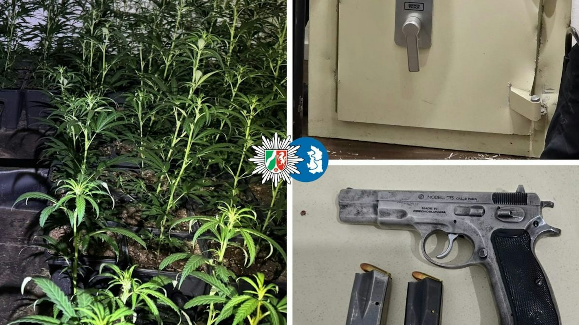 Collage der sichergestellten Asservate bei der Razzia.