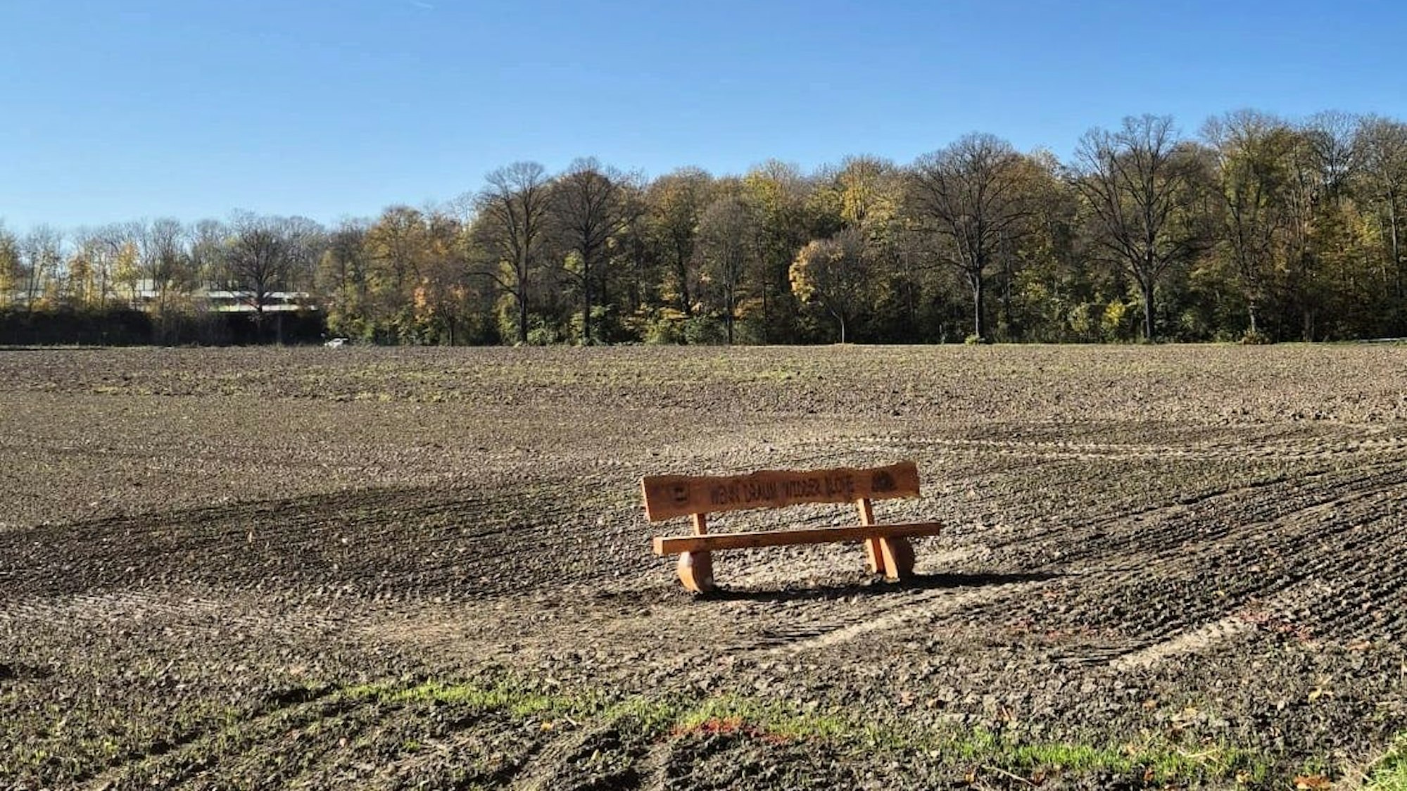 Blick auf das Gelände für den „KarneWALD“.