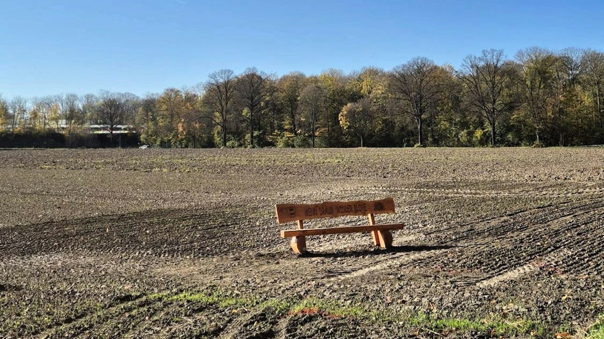 Blick auf das Gelände für den „KarneWALD“.