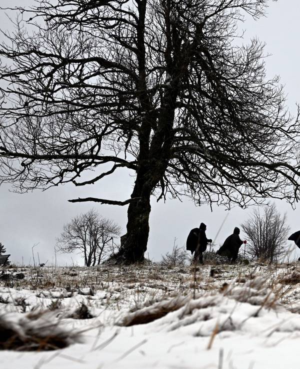 Wanderer gehen auf dem Kahlen Asten durch die Schneelandschaft.