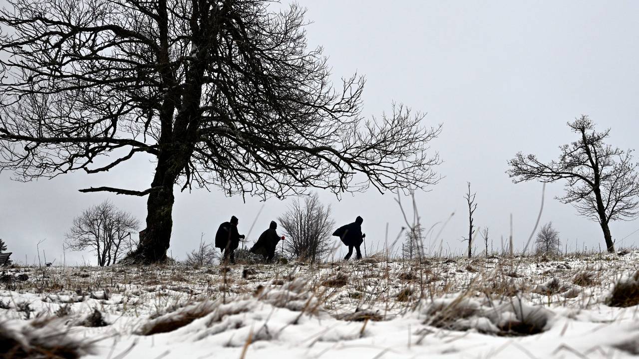 Wanderer gehen auf dem Kahlen Asten durch die Schneelandschaft.
