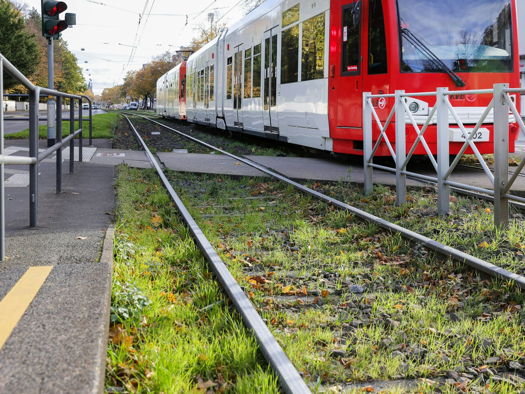 Auf der Aachener Straße kam es zu dem schweren Unfall eines 15-Jährigen mit einer Bahn der KVB.