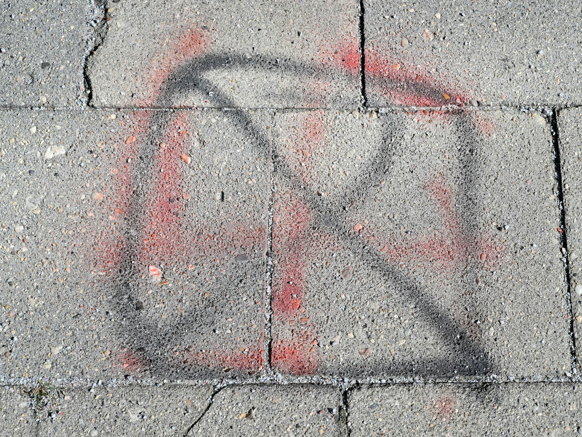 Eine geplante Änderung im Richtlinienwerk der US-Küstenwache löst Empörung aus (Symbolbild).