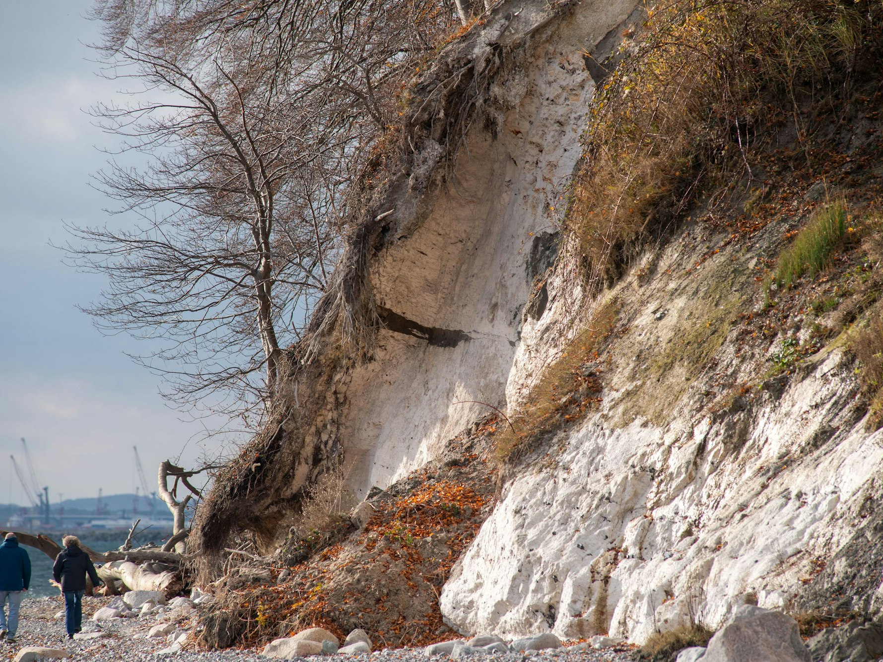 Gesteinsbrocken liegen am Fuße einer Steilküste.