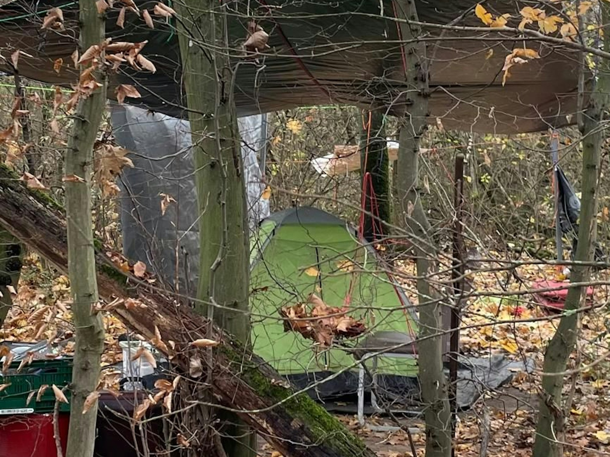 Zelte stehen zwischen Bäumen.