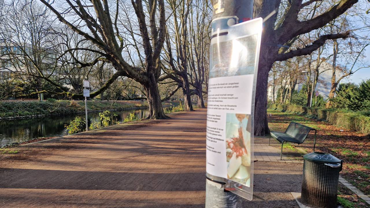 Am Clarenbachkanal in Köln-Lindenthal hängt ein laminiertes Schild an einem Metallpfal.