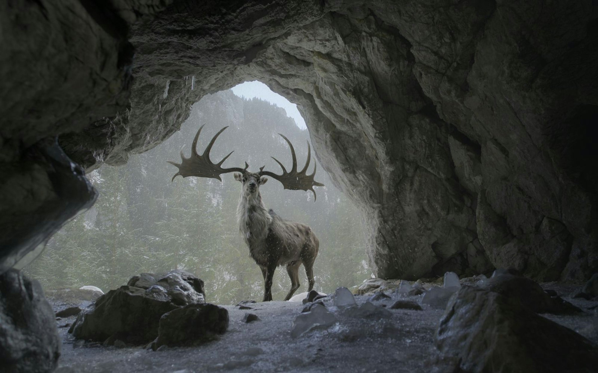 Animationen zeigen imposante Tiere wie diesen riesigen Hirsch. (Bild: Apple TV)