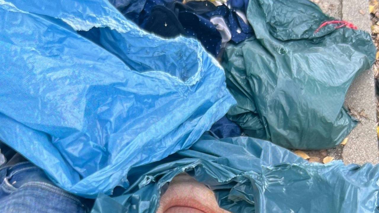 Eine gelbe Netzpython liegt in einem aufgerissenen Müllsack. Die drei Meter lange und 35 Kilo schwere Würgeschlange hat für einige Aufregung gesorgt.