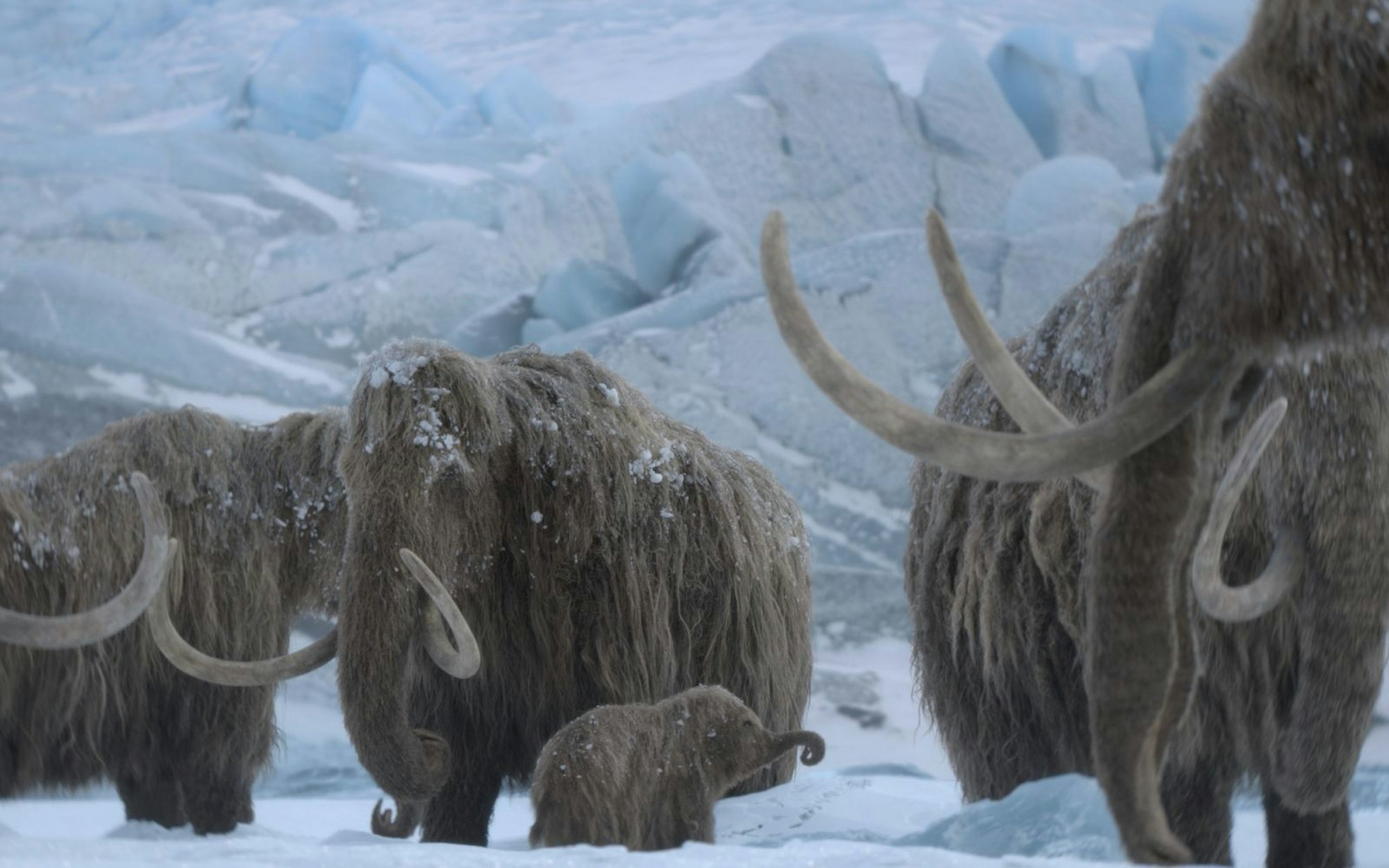 Mit „Ein Planet vor unserer Zeit: Eiszeit“ wagt sich die Reihe in neue Gefilde vor. Statt Dinosauriern spielt nun die Riesenfauna der Eiszeit die Hauptrolle. Zu sehen gibt es die Natur-Dokuserie ab 26. November bei Apple TV. (Bild: Apple TV)