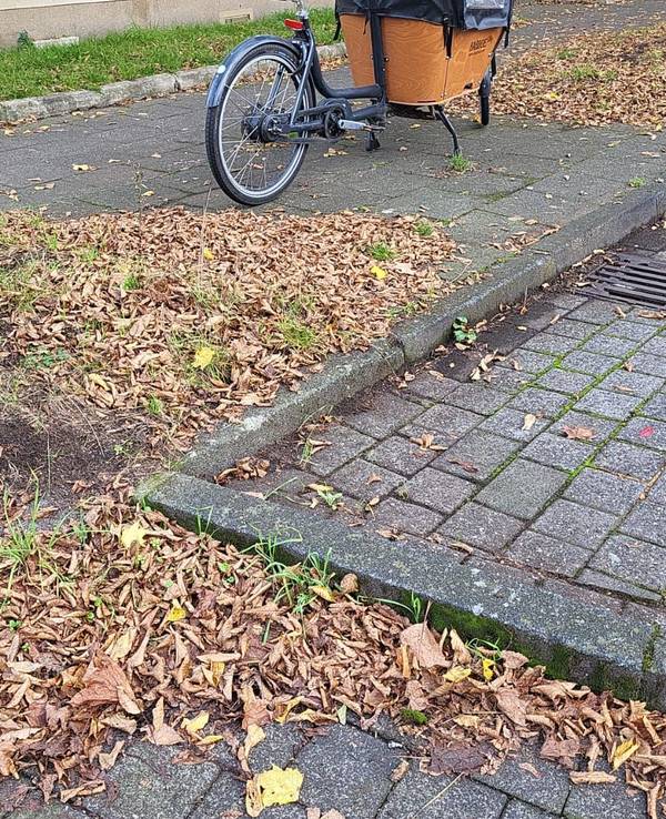 Ein Lastenrad parkt auf dem Gehweg.