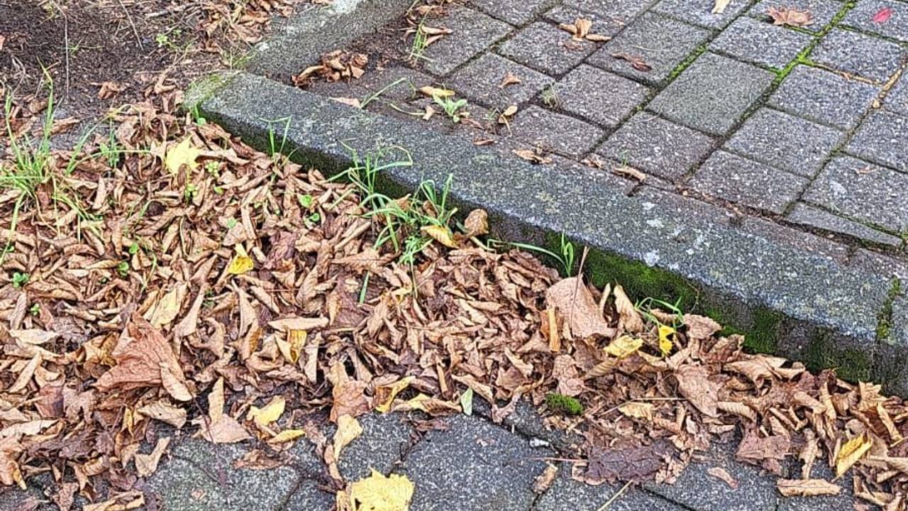 Ein Lastenrad parkt auf dem Gehweg.