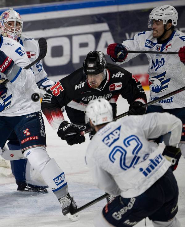 Duell um den Puck im Spiel der Kölner Haie gegen die Adler Mannheim.