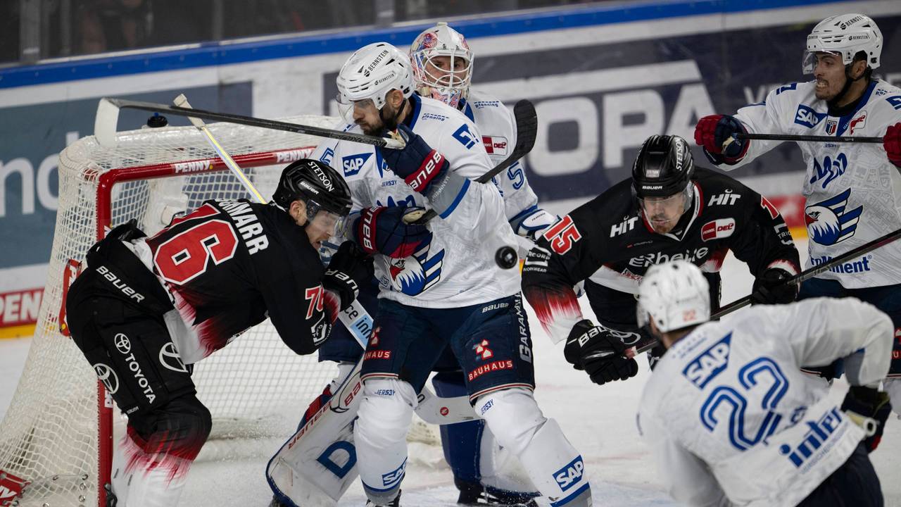 Duell um den Puck im Spiel der Kölner Haie gegen die Adler Mannheim.