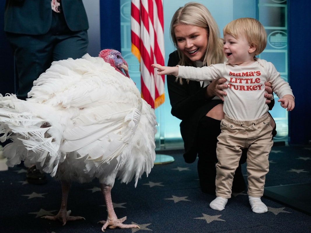 Die Pressesprecherin des Weißen Hauses, Karoline Leavitt, und ihr Sohn Nicholas betrachten Waddle, den stellvertretenden nationalen Thanksgiving-Truthahn im Pressekonferenzraum des Weißen Hauses.