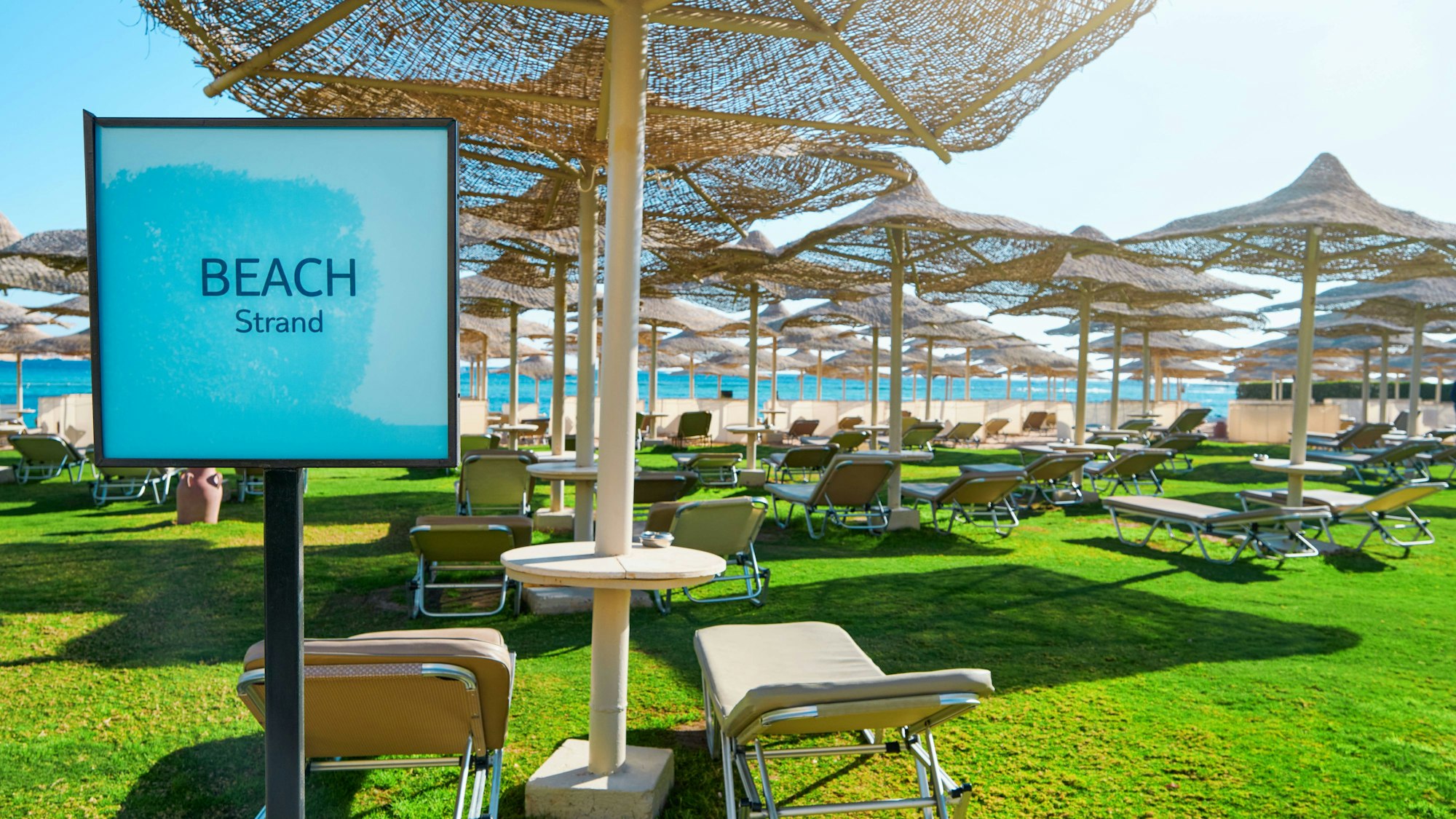 Leere Liegestühle und Sonnenschirme auf grüner Wiese am Strand mit blauem Himmel