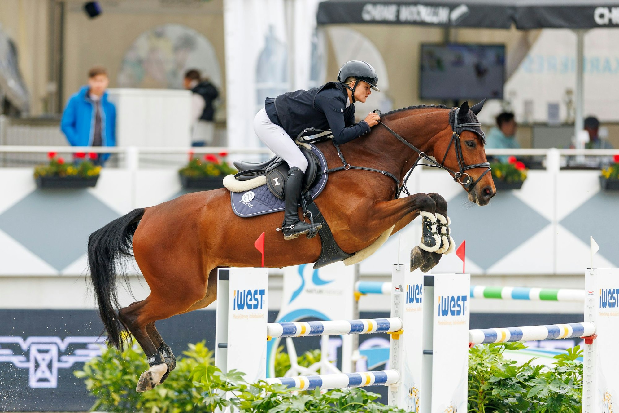BALVE - LONGINES Balve Optimum 2025
BOY Henrike-Sophie (GER), Cornet's Classica
DEUTSCHLANDS U25 SPRINGPOKAL
DER STIFTUNG DEUTSCHER PFERDESPORT
präsentiert von Holger Hetzel
Springprüfung Kl.S*** nach Fehler und Zeit (1.50 m)
Balve, Reitanlage Schloss Wocklum
15. June 2025
© www.sportfotos-lafrentz.de/Stefan Lafrentz