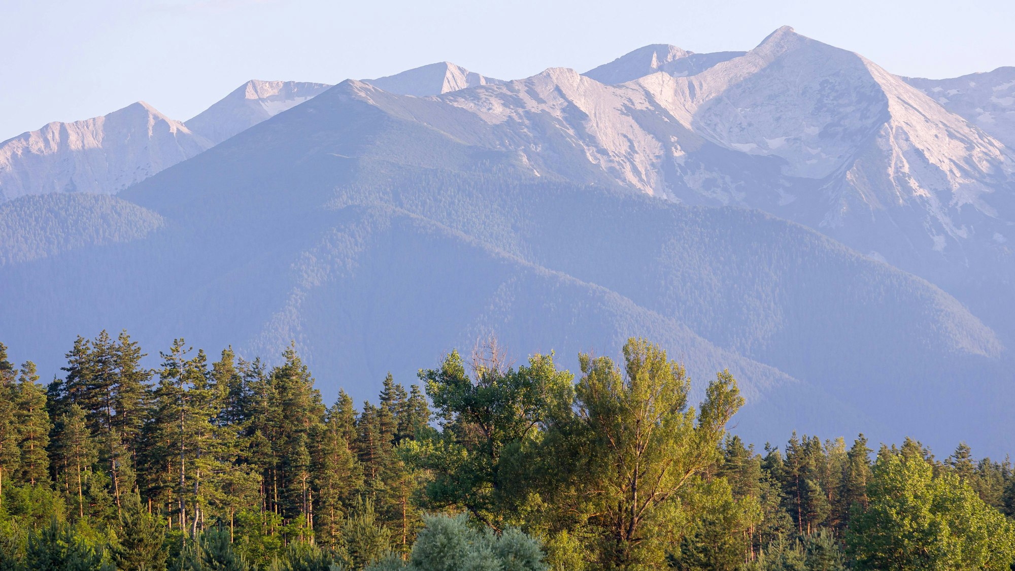 Gebirgslandschaft im Pirin Nationalpark mit felsigen Gipfeln, bewaldeten Hängen und Bäumen im Sonnenlicht