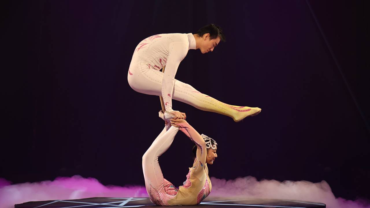 Das Duo Butterfly beim Kölner Weihnachtscircus.