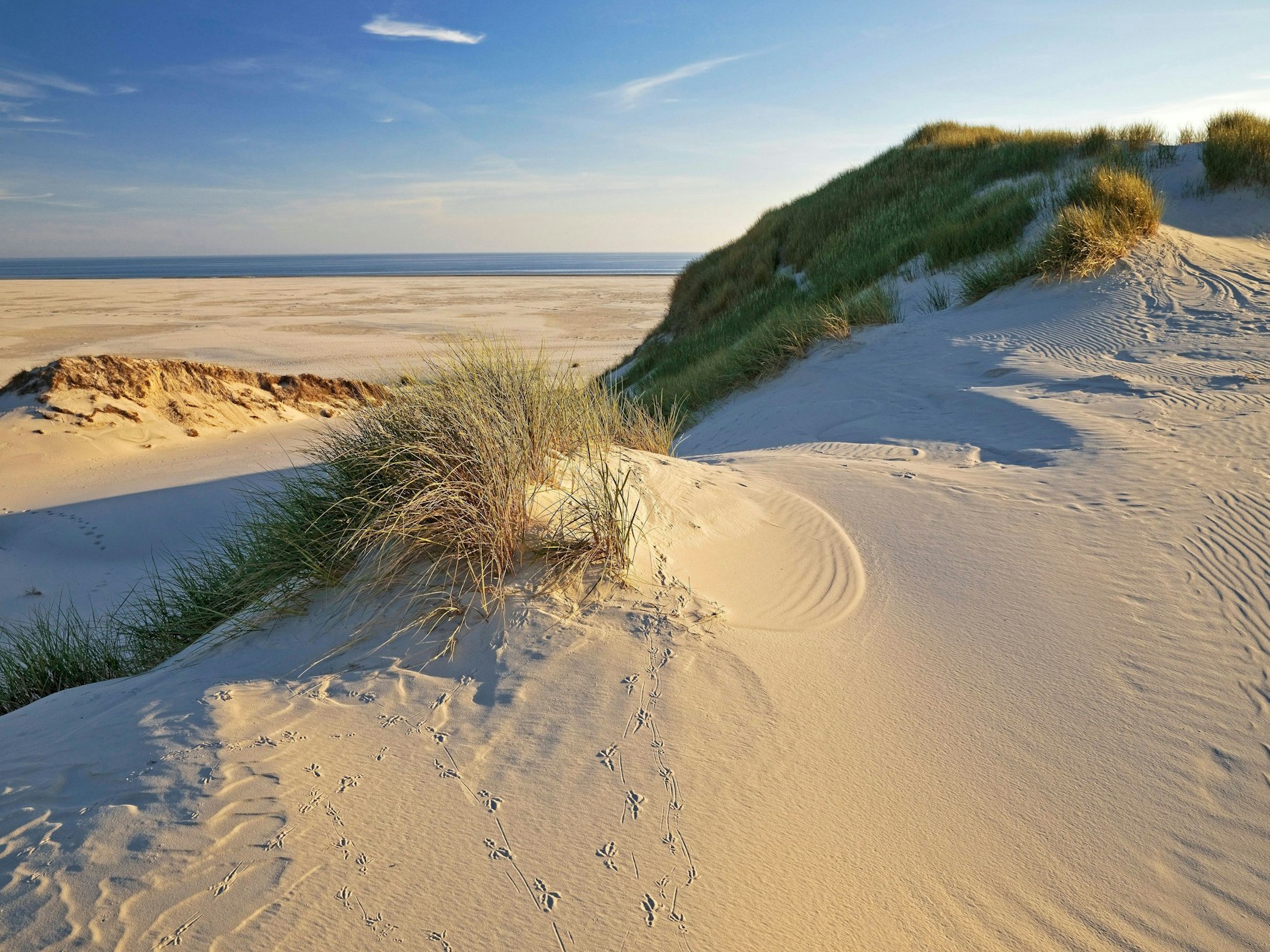 Ein 55-jähriger Mann hat am Strand von Amrum einen gefährlichen Fund gemacht (Symbolbild).