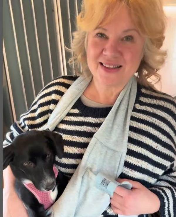 Eine Frau hat einen Hundewelpen in einer Tragetasche.
