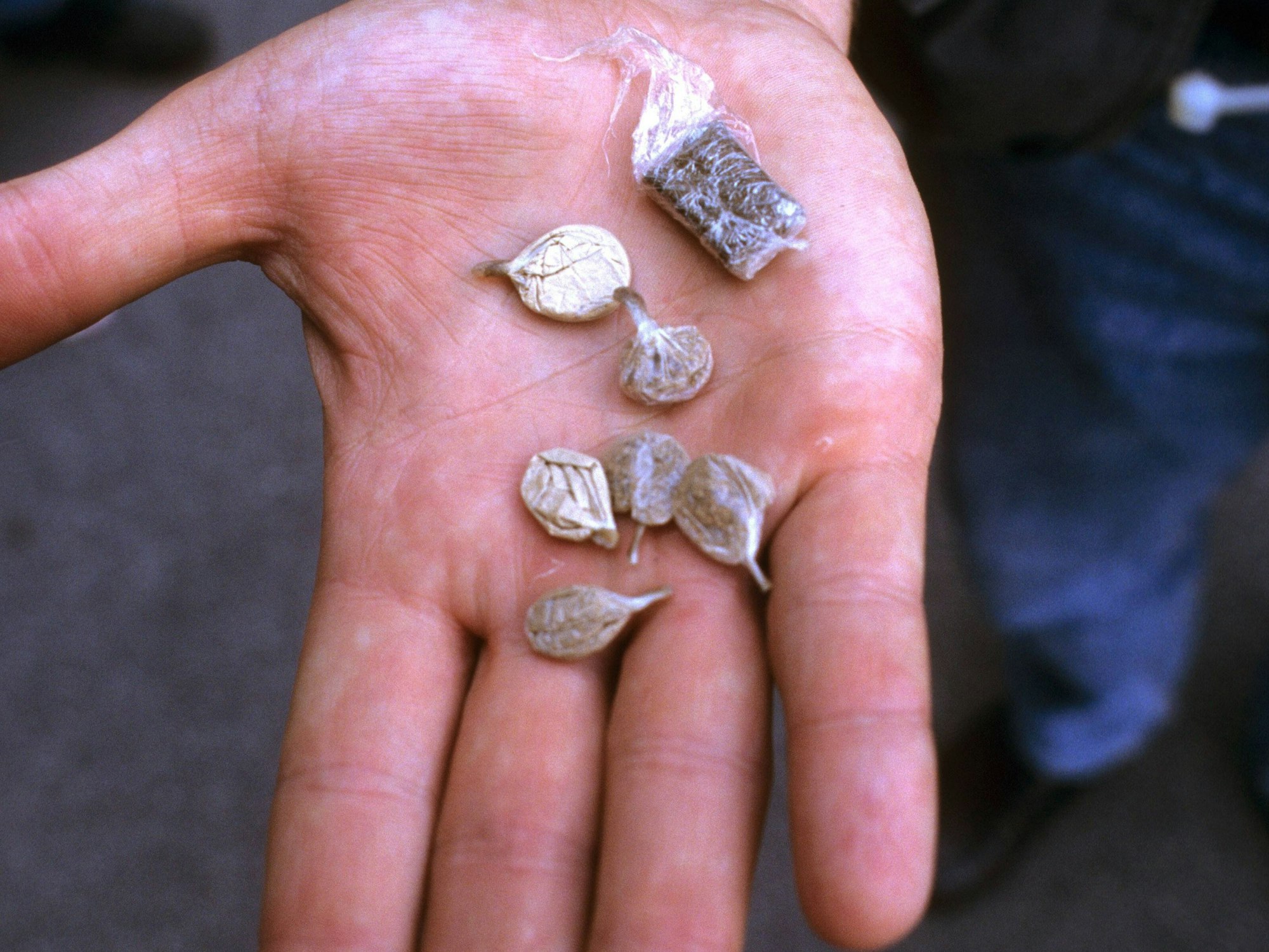 Das Foto zeigt sogenannte Drogen-„Bubbles“ (Archivfoto).