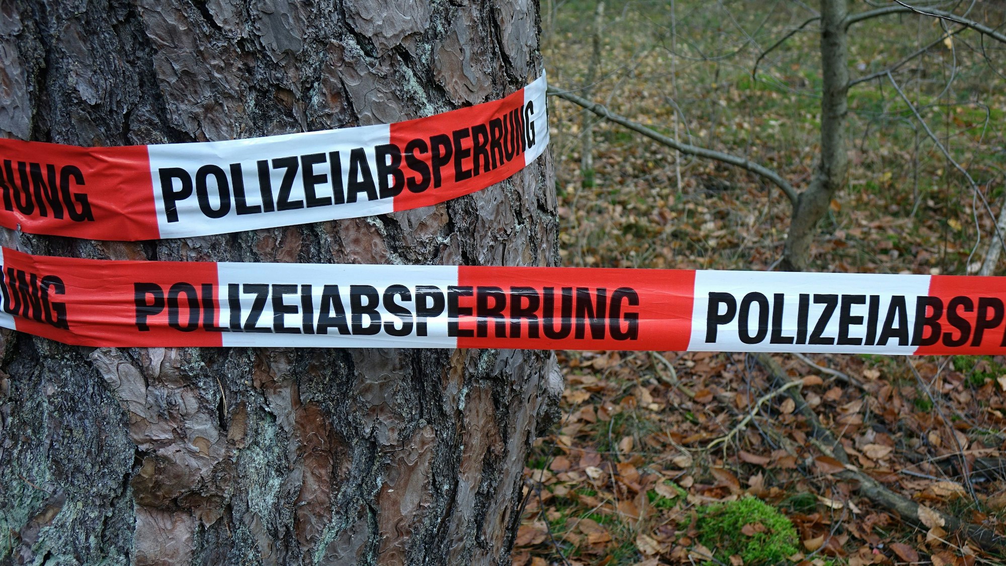 Tatortabsperrung mit Polizeiband um einen Baumstamm
