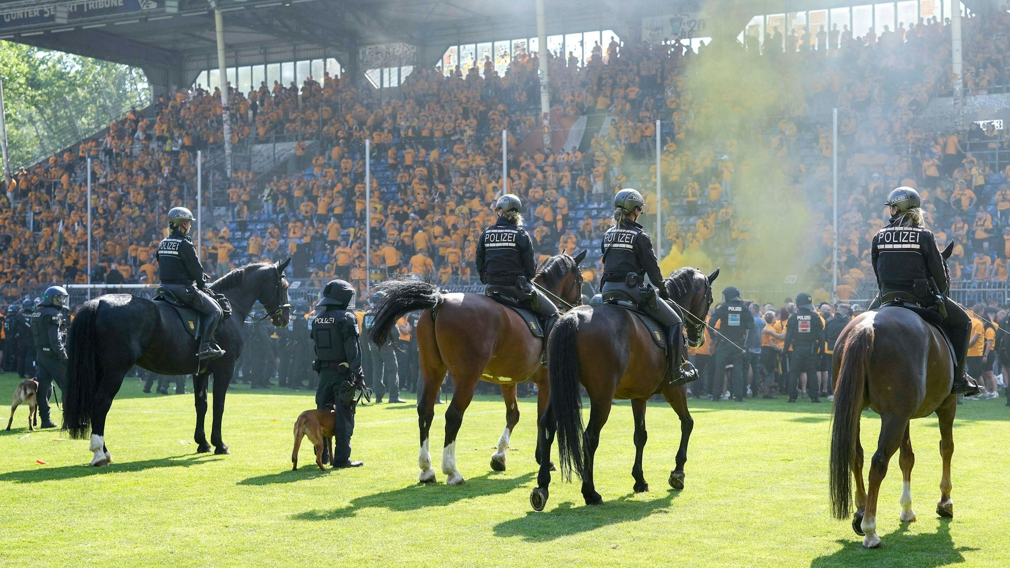 Polizei mit Pferden und Hund im Fußballstadion mit Rauch