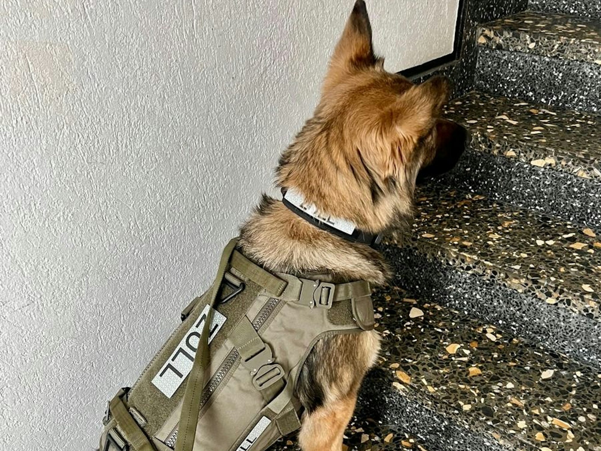 Zollfahndung Essen stellt illegalen Shisha-Tabak sicher.