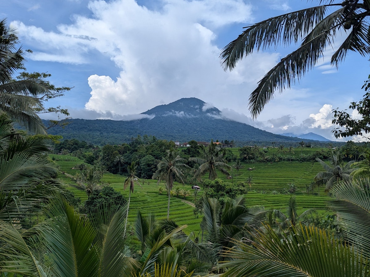 Blick auf einen Berggipfel, der von Wolken umsäumt ist, davor Palmen und Reisterrassen