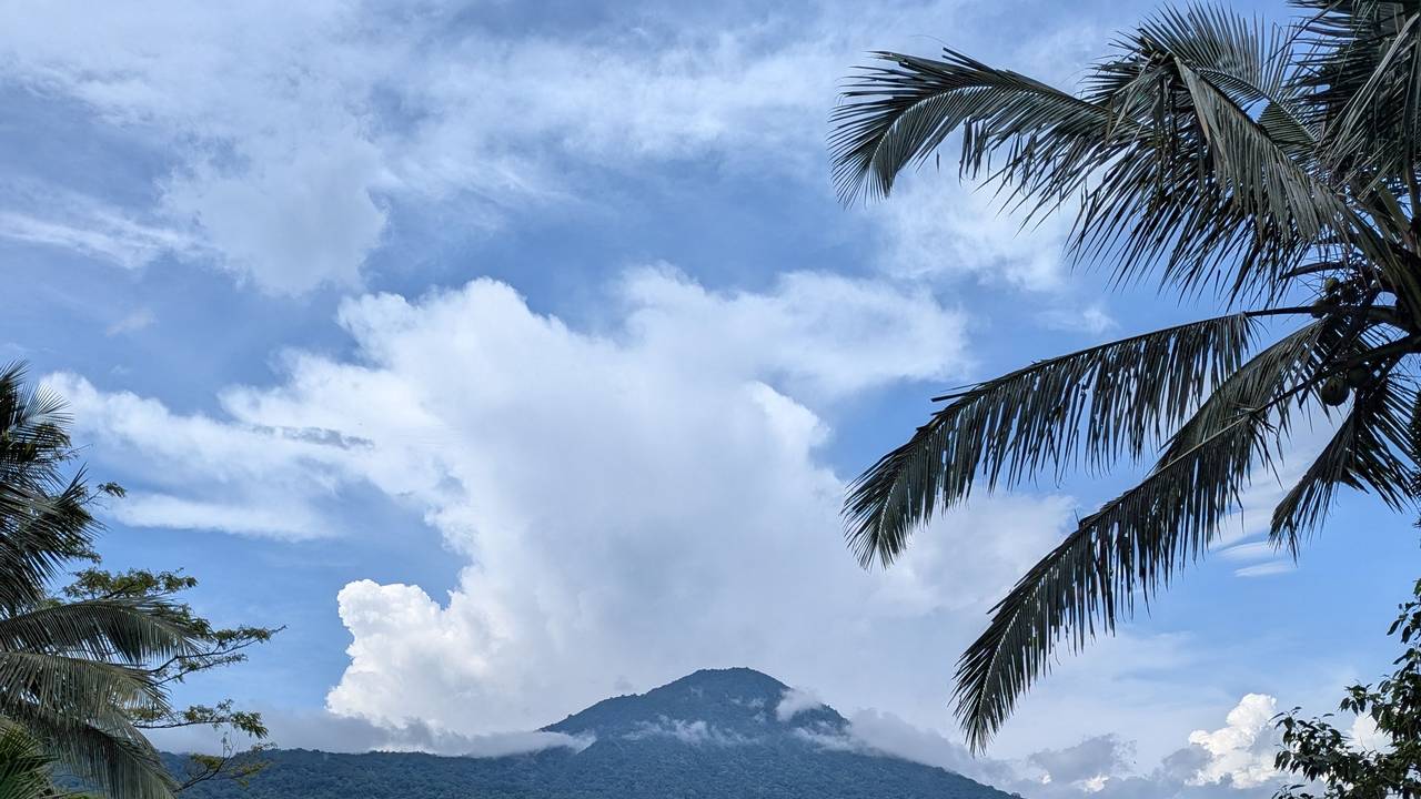 Blick auf einen Berggipfel, der von Wolken umsäumt ist, davor Palmen und Reisterrassen