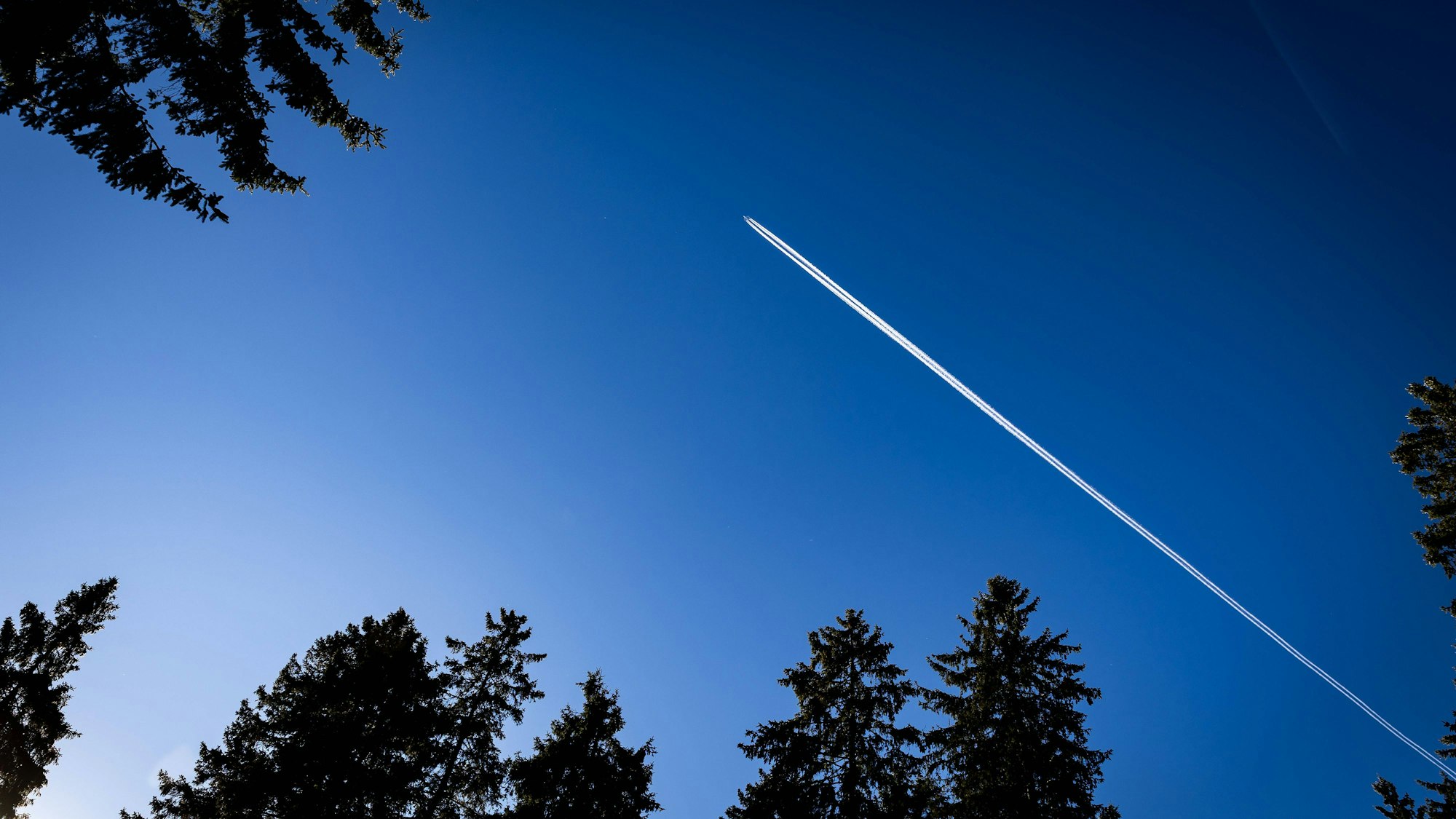 Raphael Schmitt zeigt einen langen Kondensstreifen eines Flugzeugs vor blauem Himmel und Baumspitzen