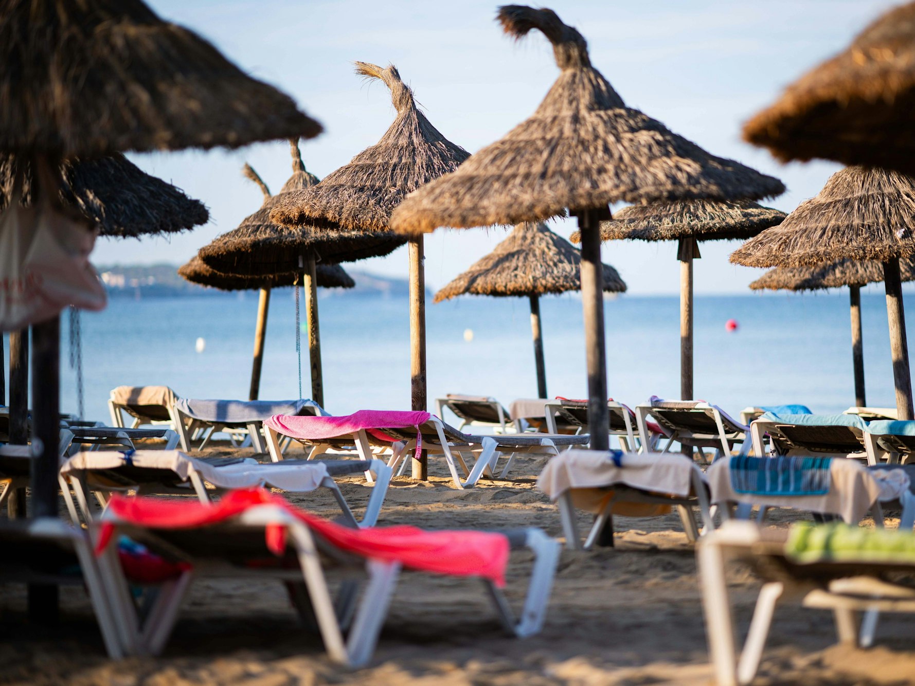 Wer im kommenden Sommer nach Mallorca reist, muss für Liegen und Schirme künftig noch tiefer in die Tasche greifen.