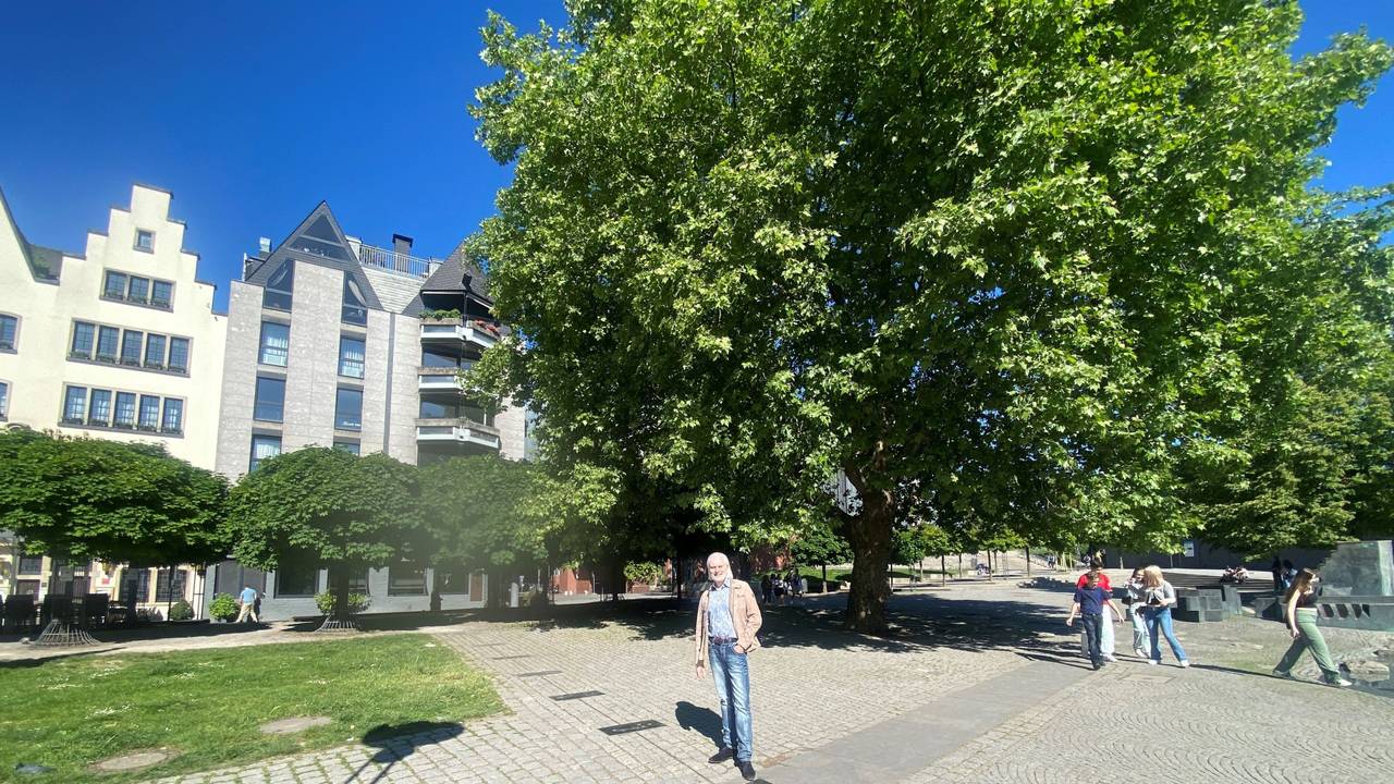 Eine Platane in der Kölner Altstadt, davor steht Joachim A. Groth