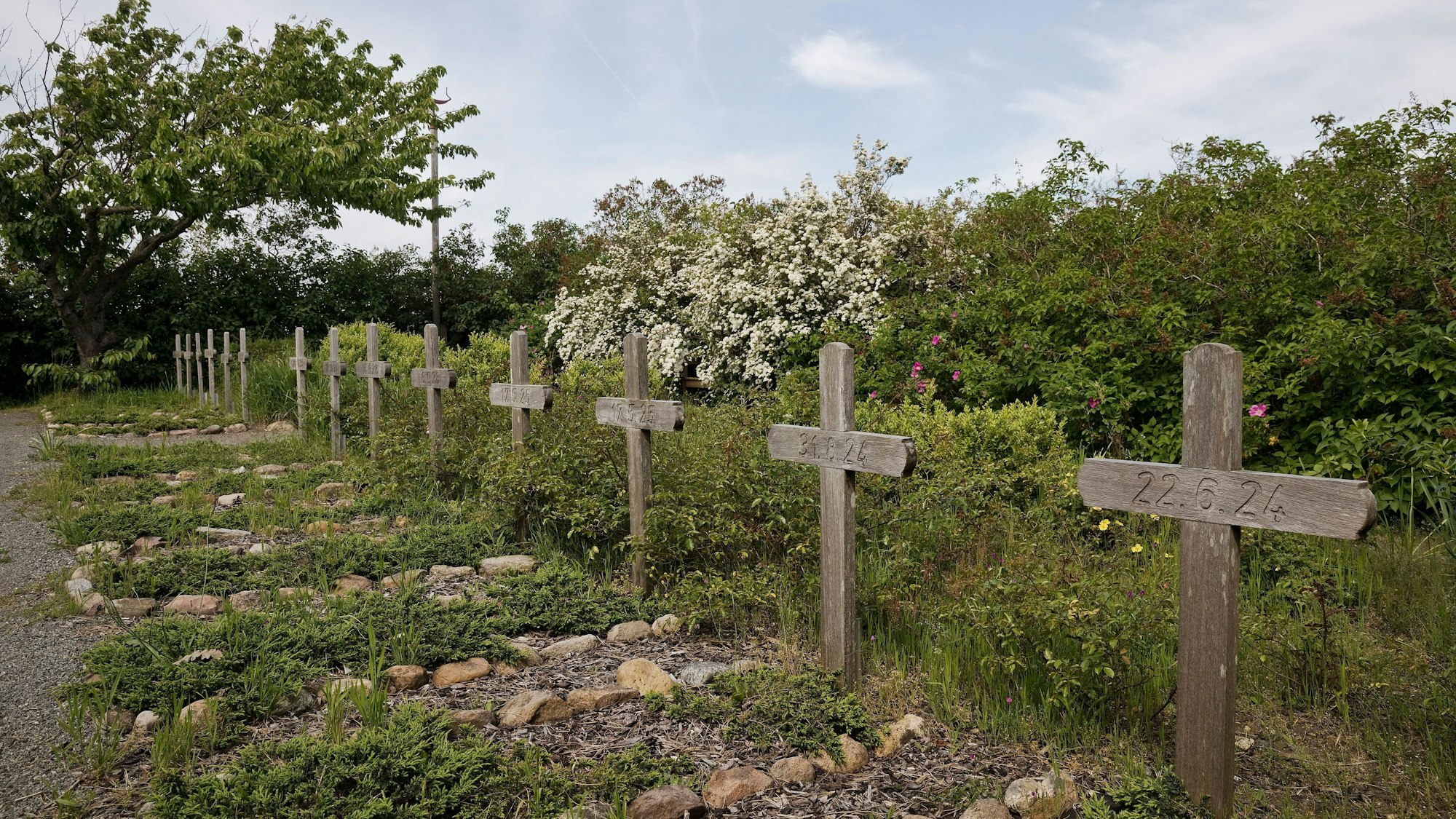 Friedhof der Heimatlosen auf Amrum mit Holzkreuzen und bewachsenen Gräbern unter hellem Himmel