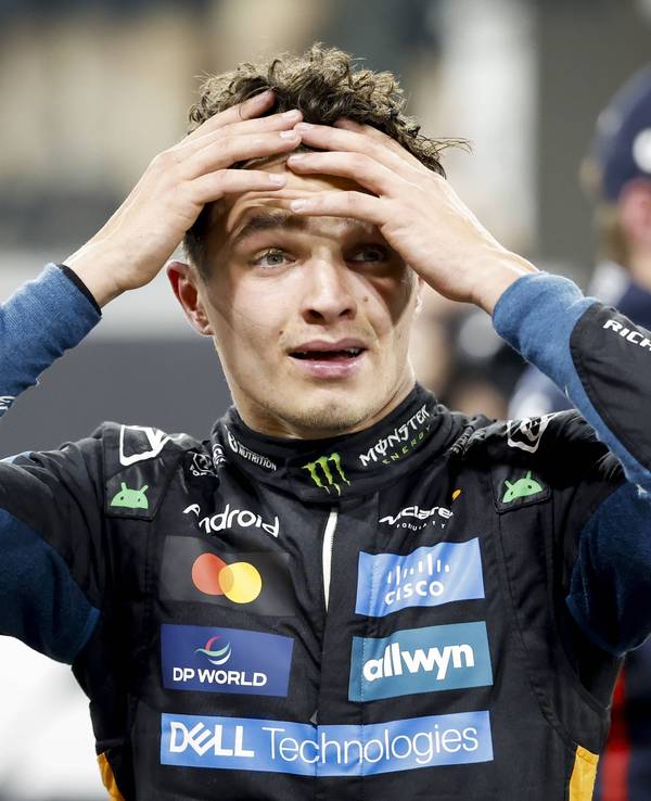 Lando Norris fasst sich ungläubig in die Haare.