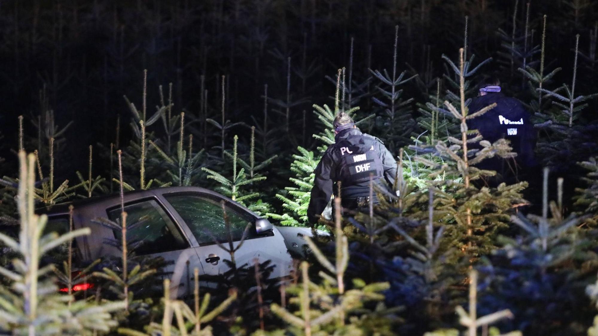Der VW Golf in einer Weihnachtsbaumschonung zum Stehen.