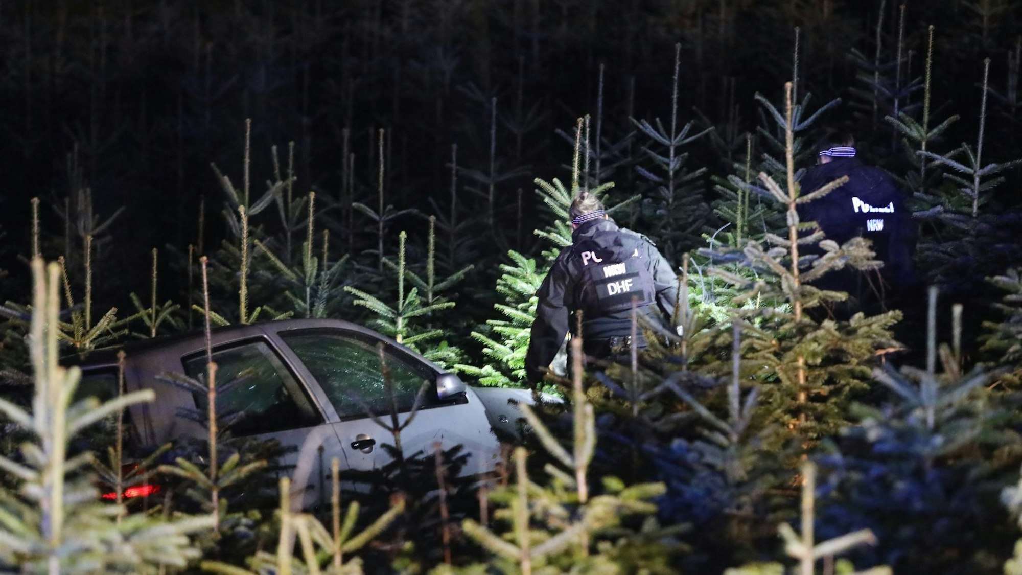 Der VW Golf in einer Weihnachtsbaumschonung zum Stehen.