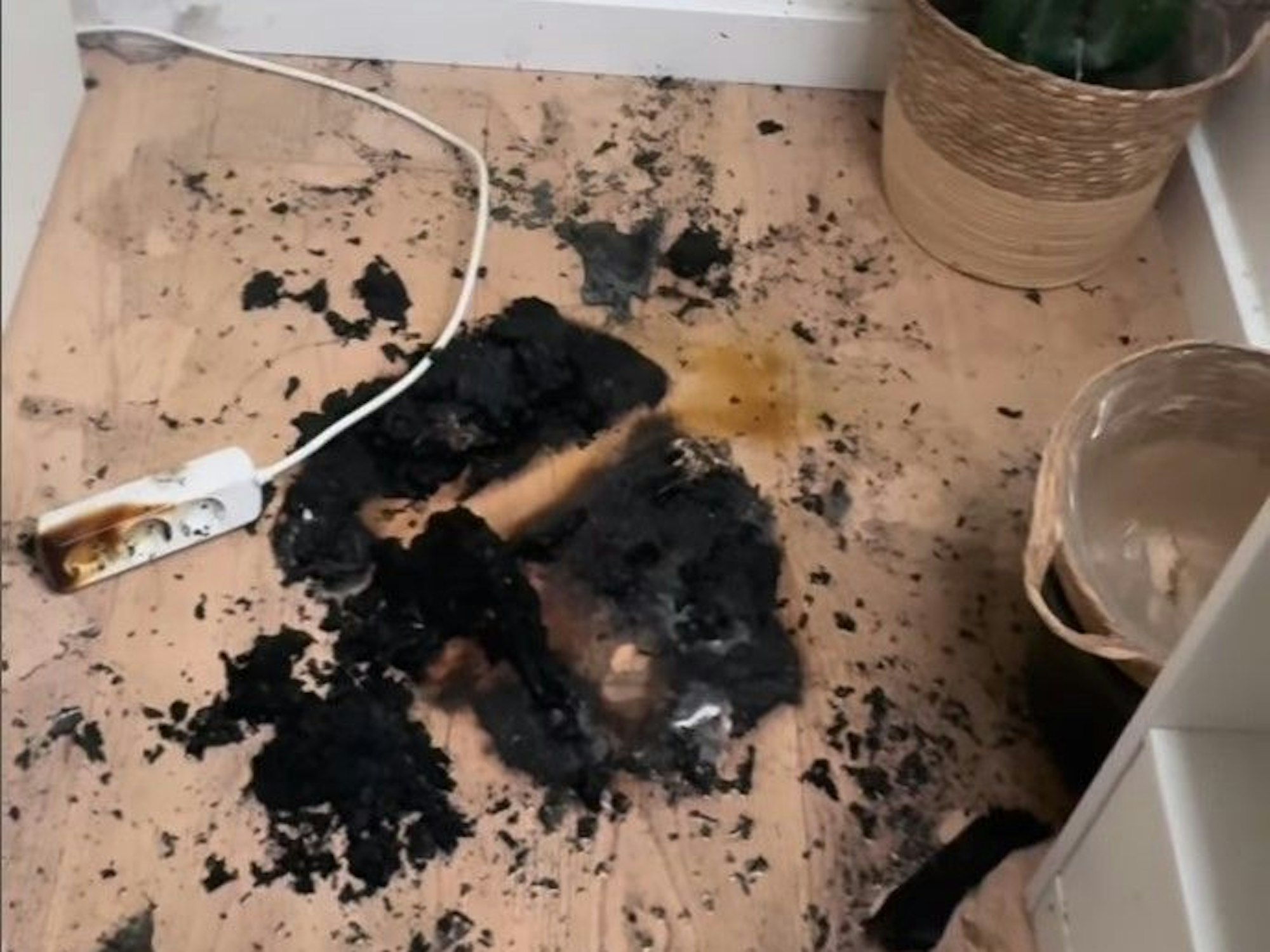 Was hätte da alles passieren können! Panagiota Petridou zeigt in einem Instagramclip das Ausmaß des Brandes.