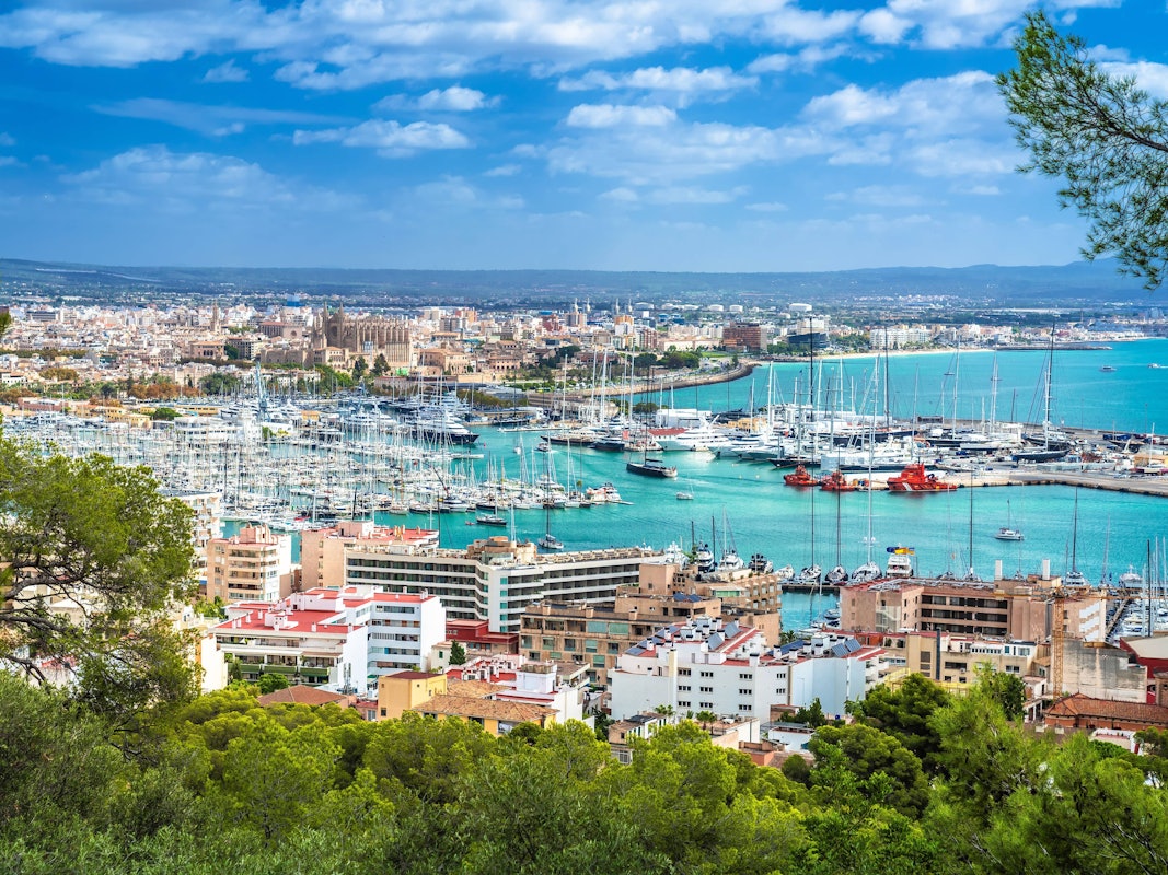 Panoramablick Palma de Mallorca, Jachthafen und Uferpromenade von Dalibor Brlek