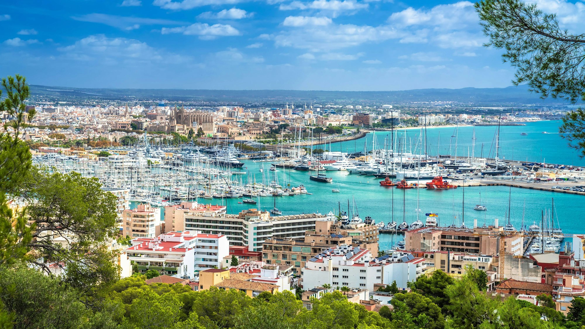 Panoramablick Palma de Mallorca, Yachthafen und Uferpromenade von Dalibor Brlek