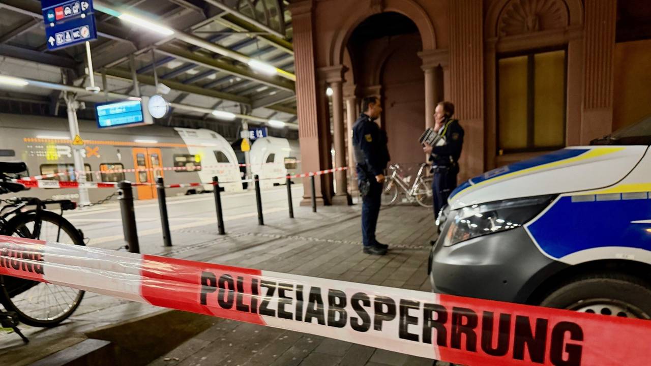 Der Fund zweier vermeintlich herrenloser Gepäckstücke löste am Bonner Hauptbahnhof einen Großeinsatz der Polizei ausgelöst.