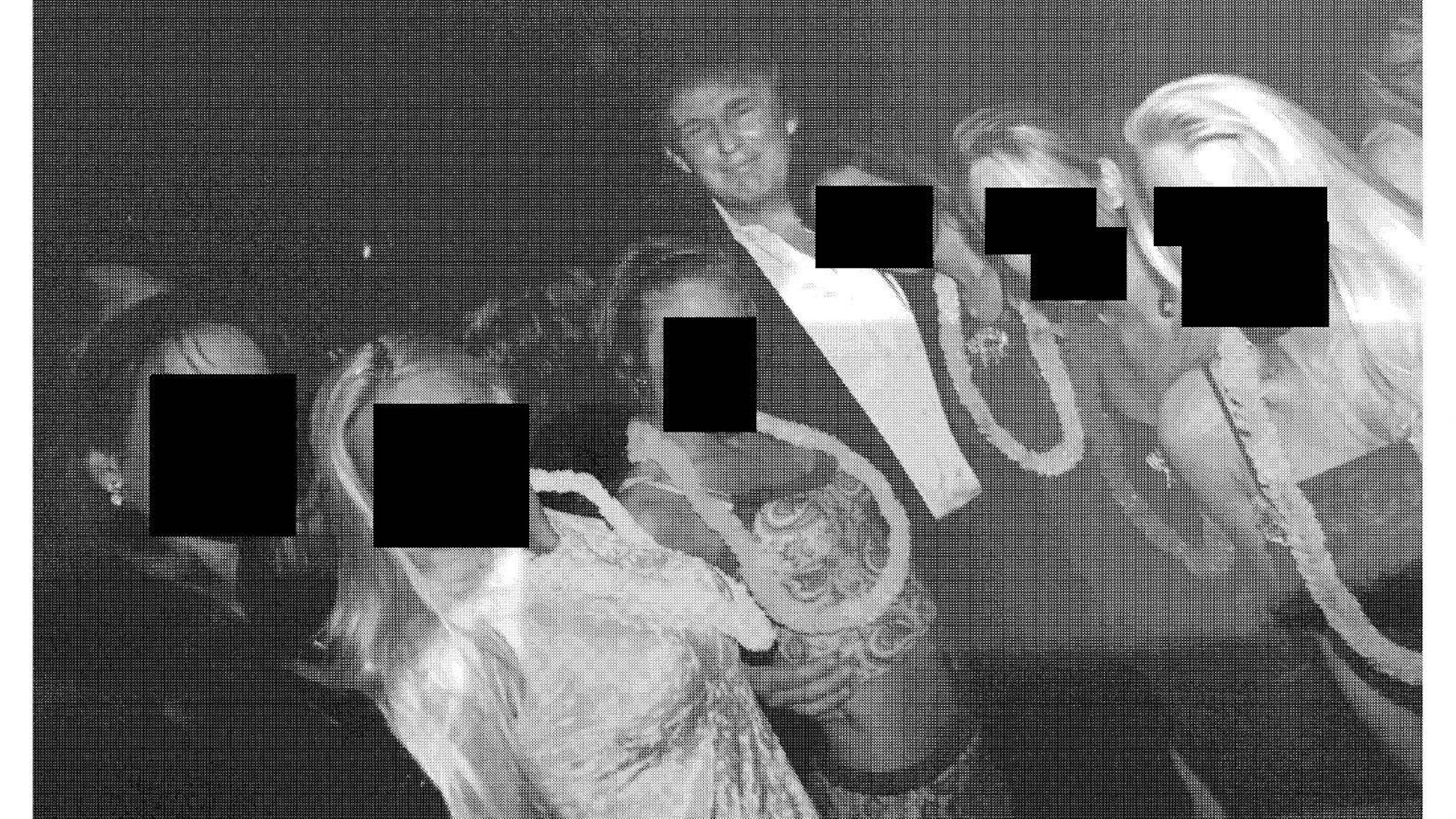 US-Präsident Trump steht grinsend zwischen jungen Frauen.