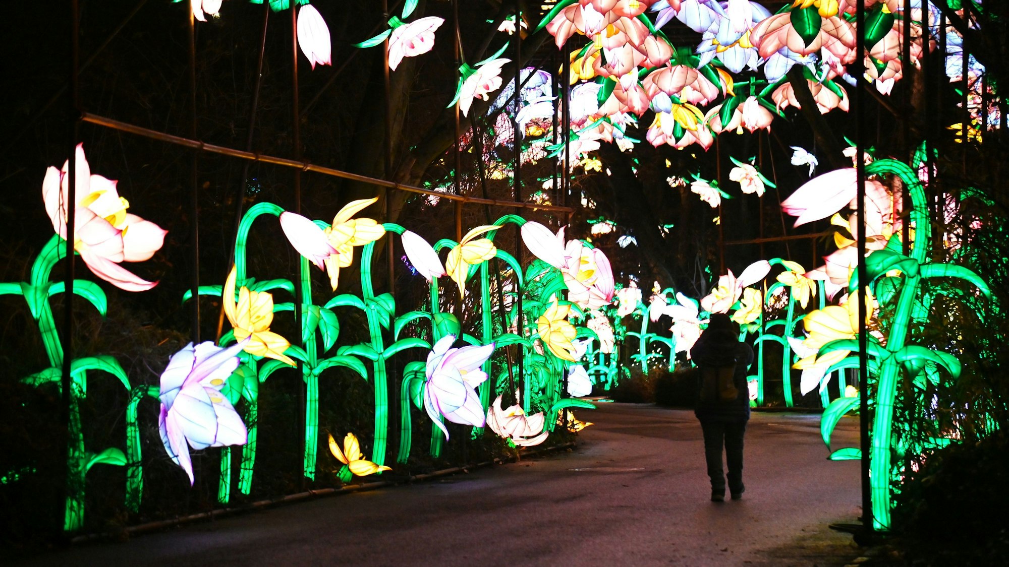 Blumen leuchten im Spalier.