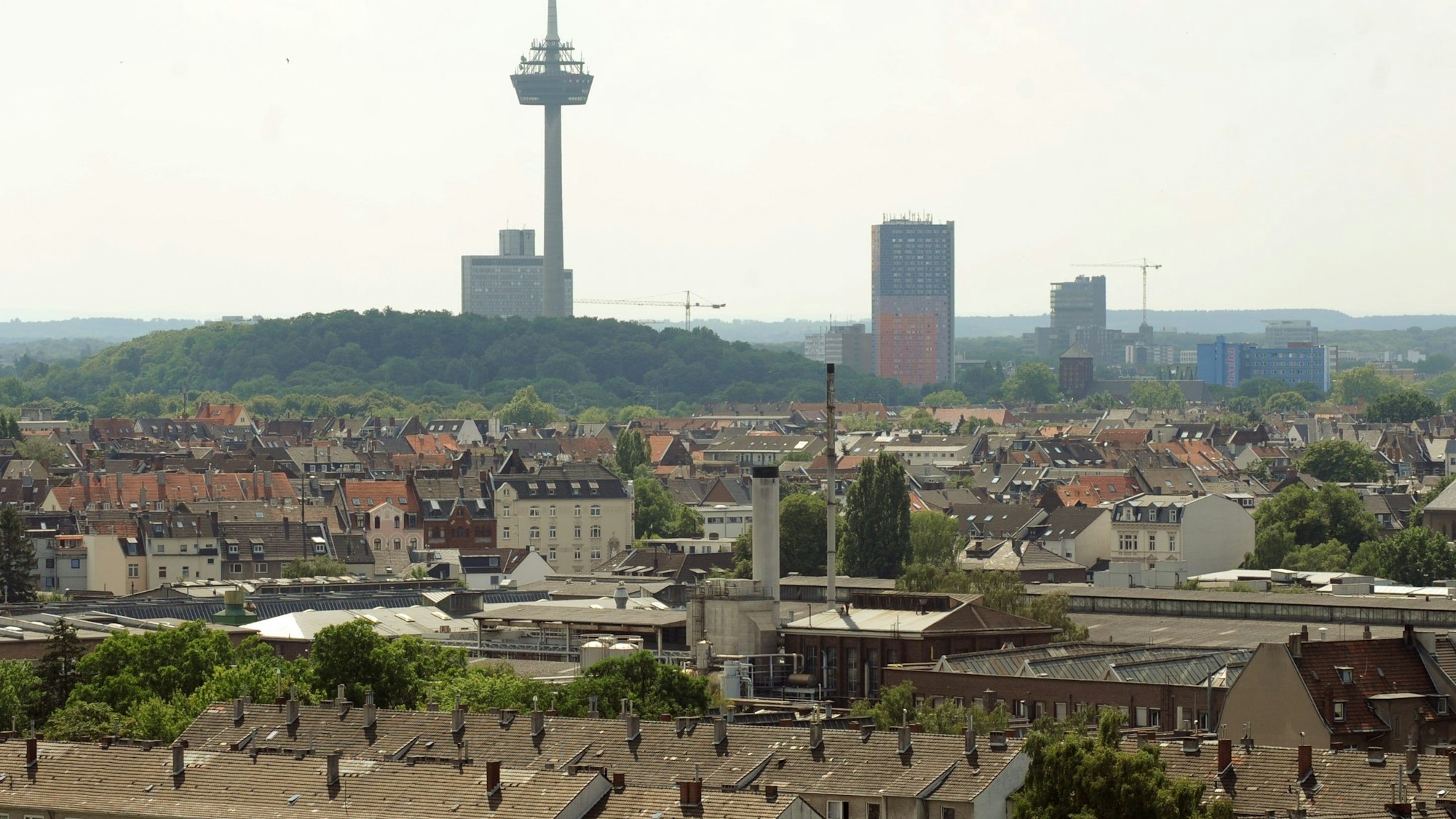 Der Herkulesberg wurde hier fotografiert vom Dach des Bundesverwaltungsamtes in Niehl.