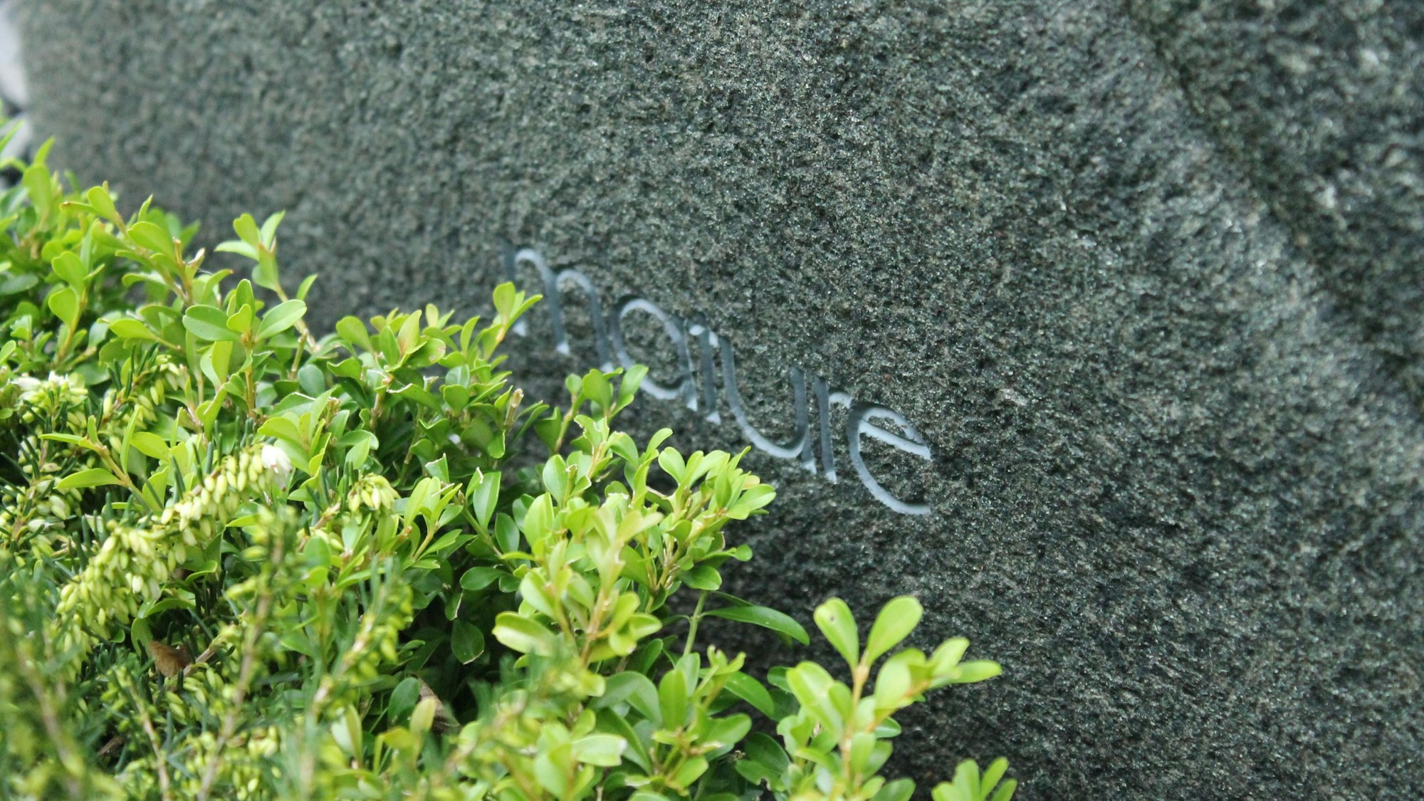 Das Wort „mature“ auf dem Grabstein